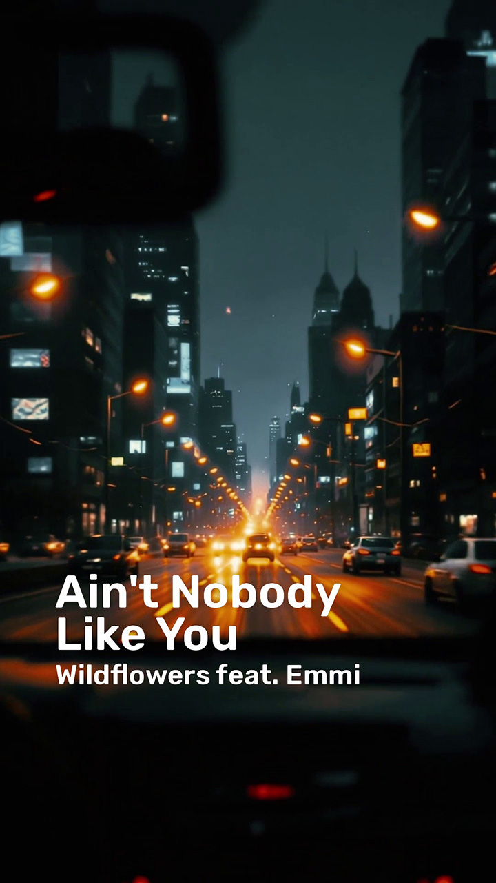 Ain't Nobody Like You